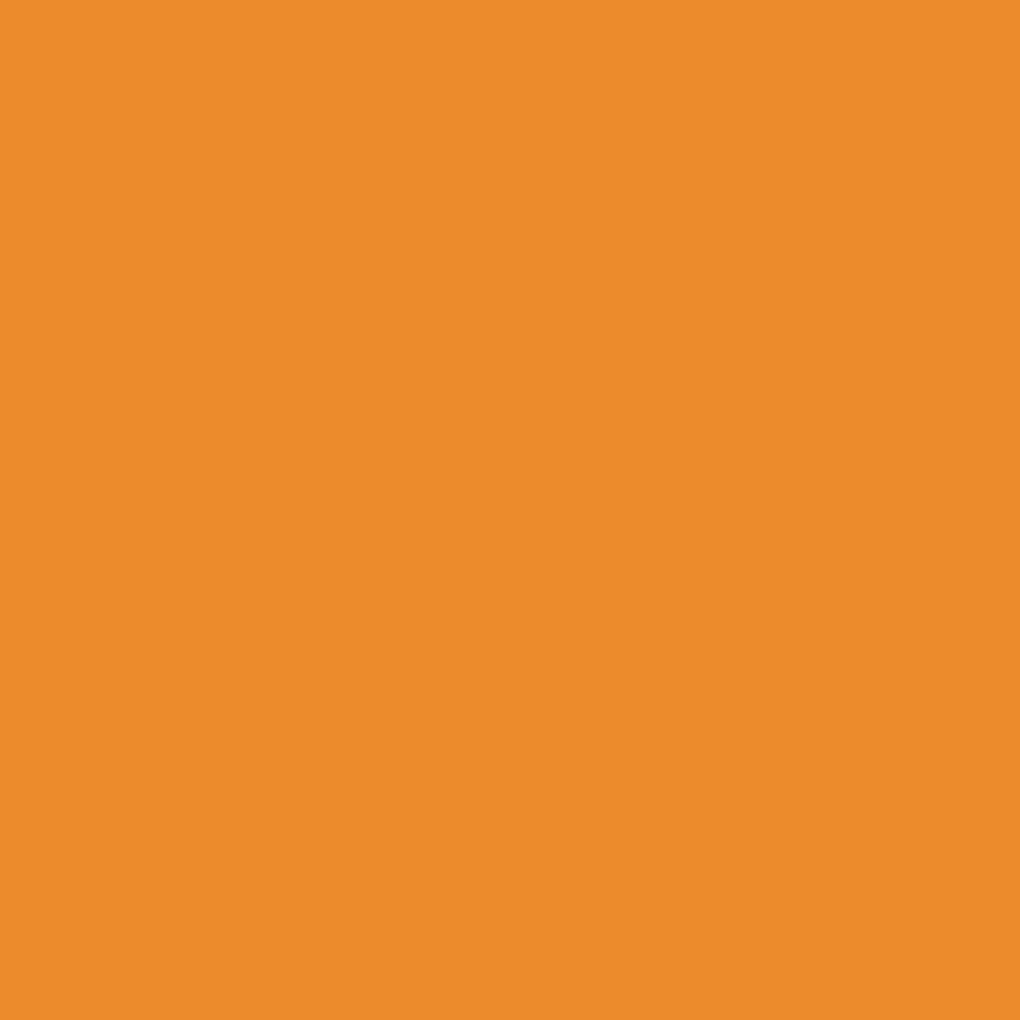 LIGHT ORANGE BLONK