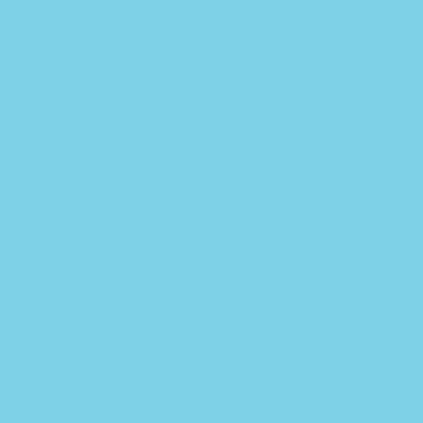 SKY BLUE BLONK